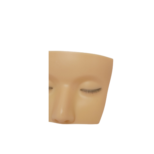 3 Layer Mannequin Head