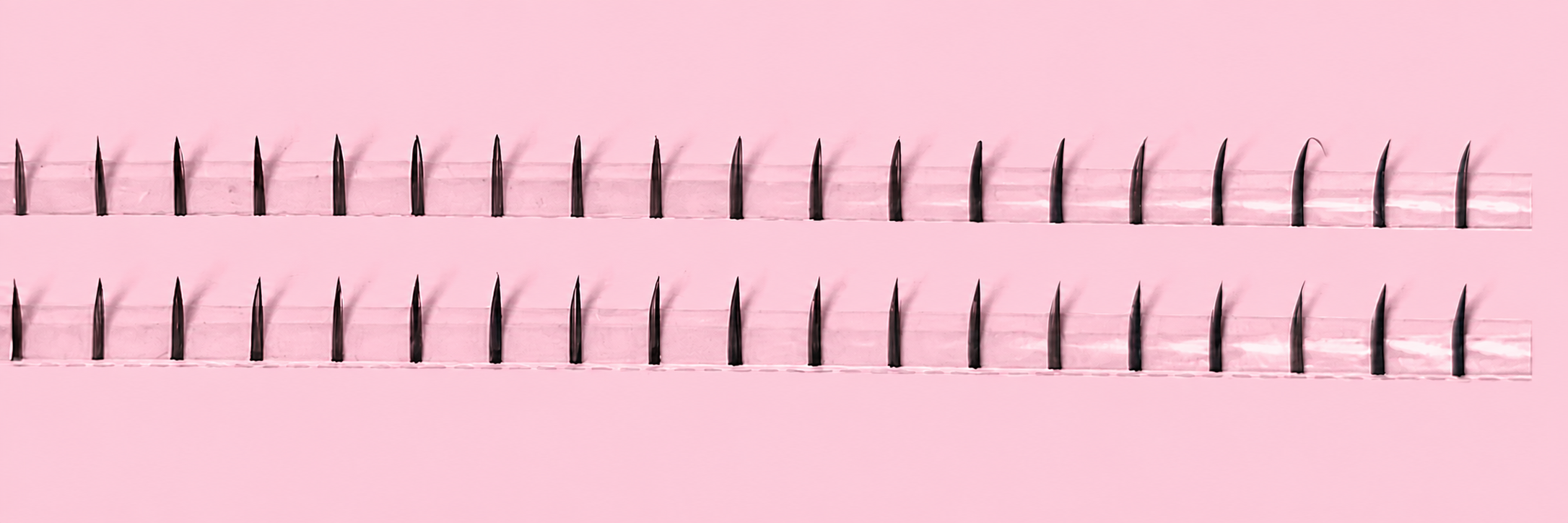 DIY Bottom Lash Line Tray