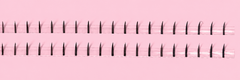 DIY Bottom Lash Line Tray
